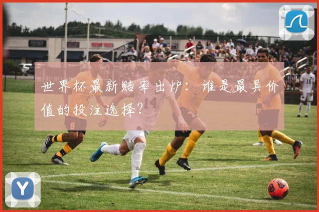 世界杯最新赔率出炉：谁是最具价值的投注选择？